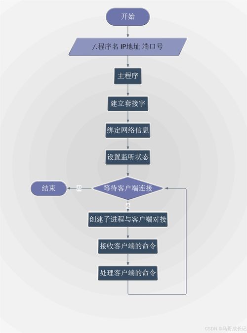 Linux網(wǎng)盤 編程者的技術(shù)賦能與價值創(chuàng)造